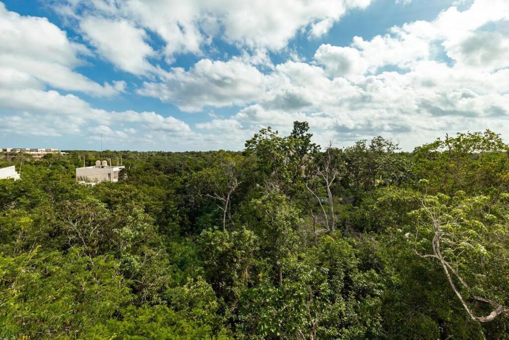 Dk31 Wifi 600mb, Cheap Scooters By Moikkarentals * Tulum