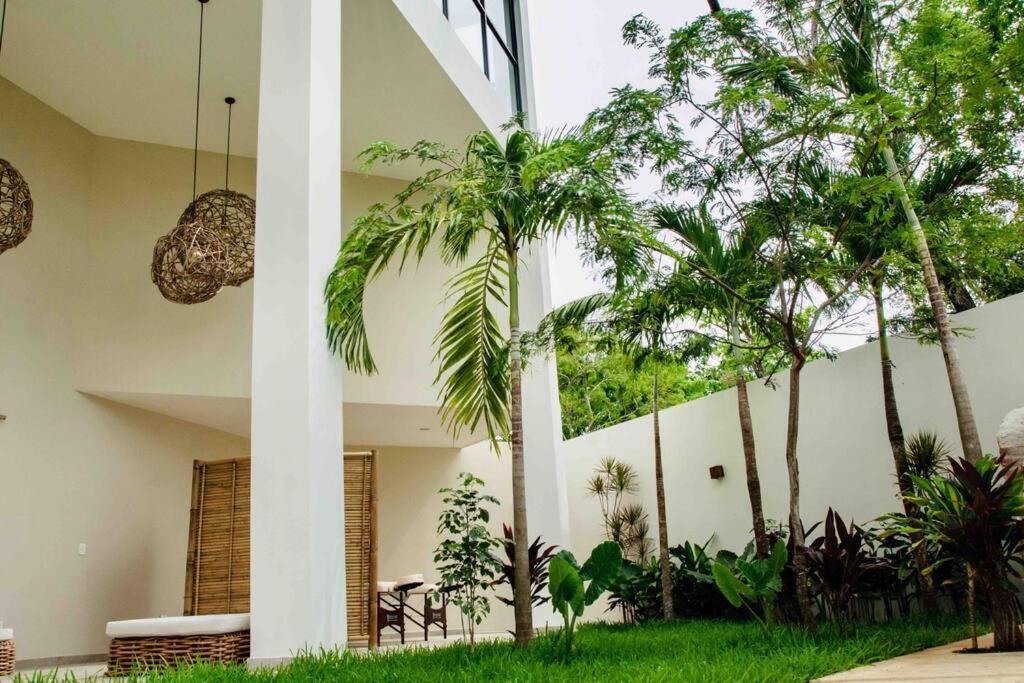 Dk31 Wifi 600mb, Cheap Scooters By Moikkarentals * Tulum