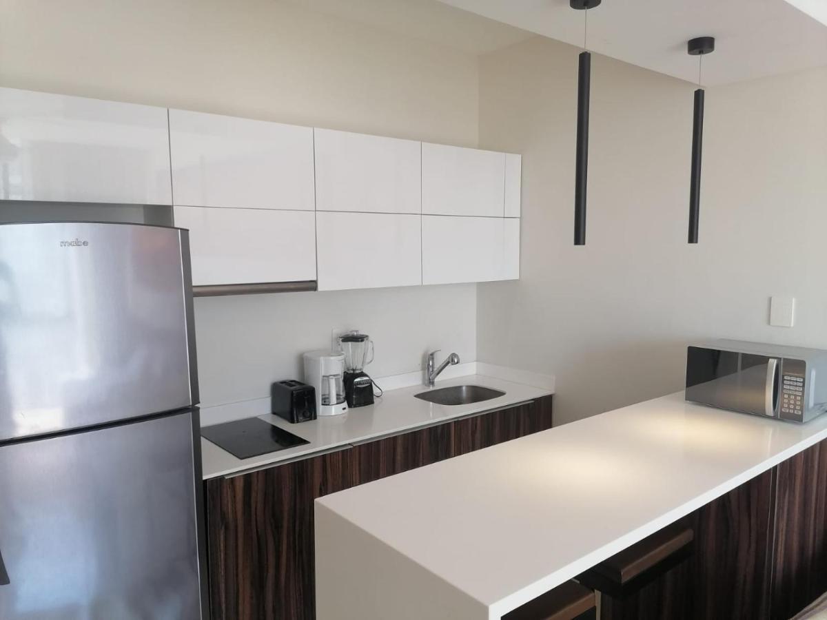 Modern Luxurious And Comfortable Apartment Tulum