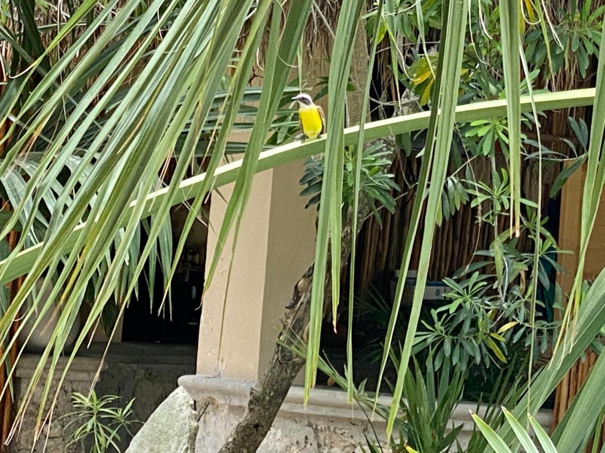 Homestay Jaakbal Tulum