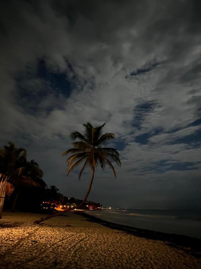 Chavez Eco And * Tulum