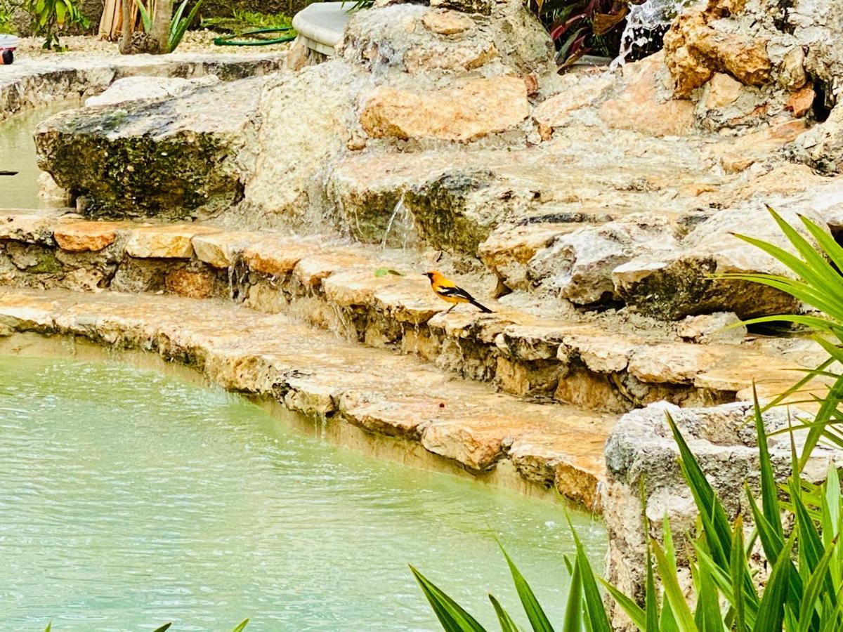 Jaakbal Homestay Tulum