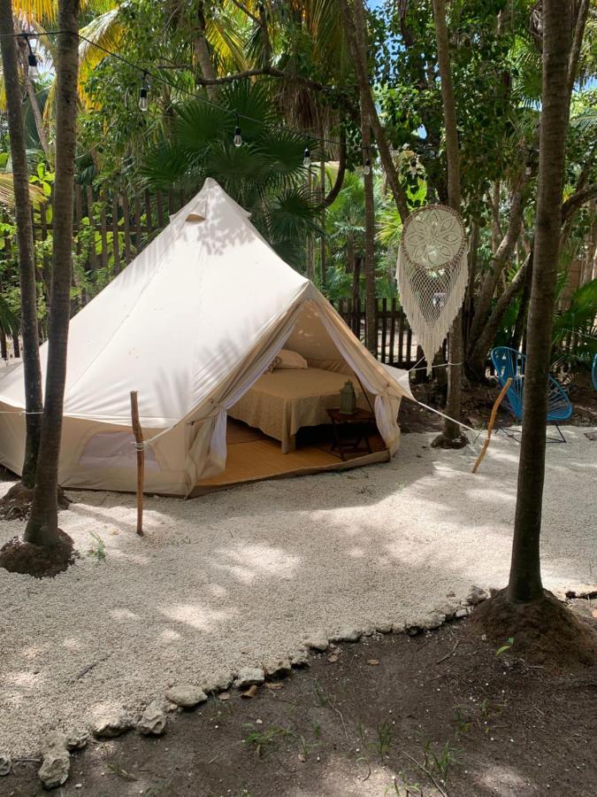 Casa Borush Glamping Fruit & Cenote Experience Tulum