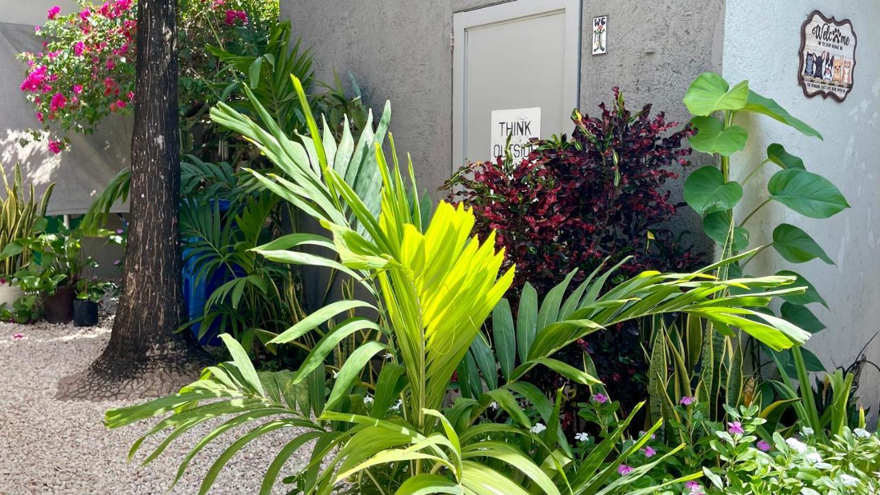 Apartment Casa Villamatisse Tulum