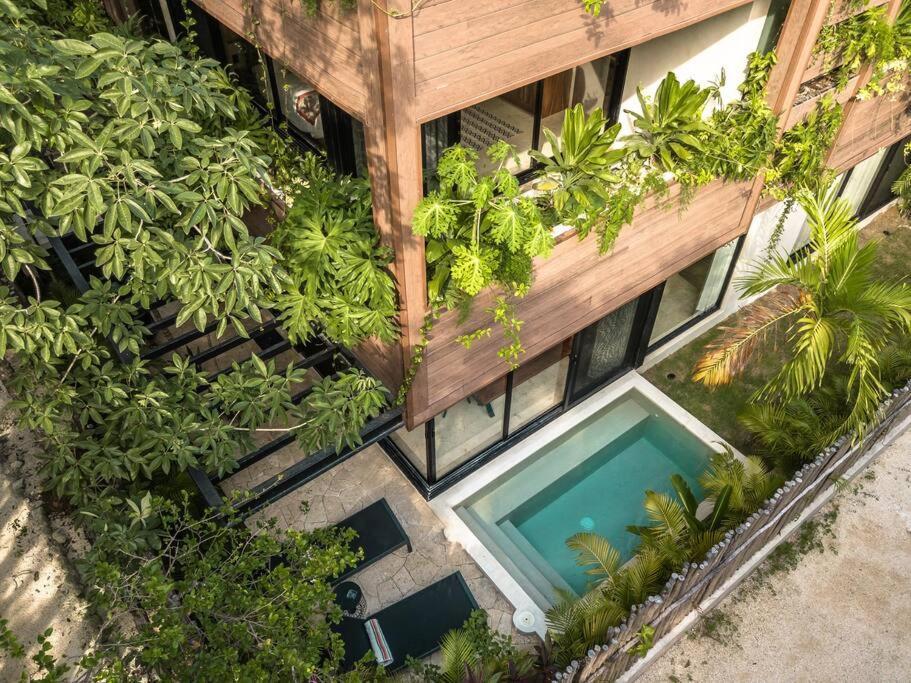 Townhouse De Lujo En La Selva Con Alberca Privada Apartment