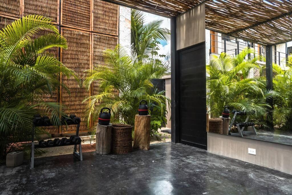 Toh1, Downtown Tulum