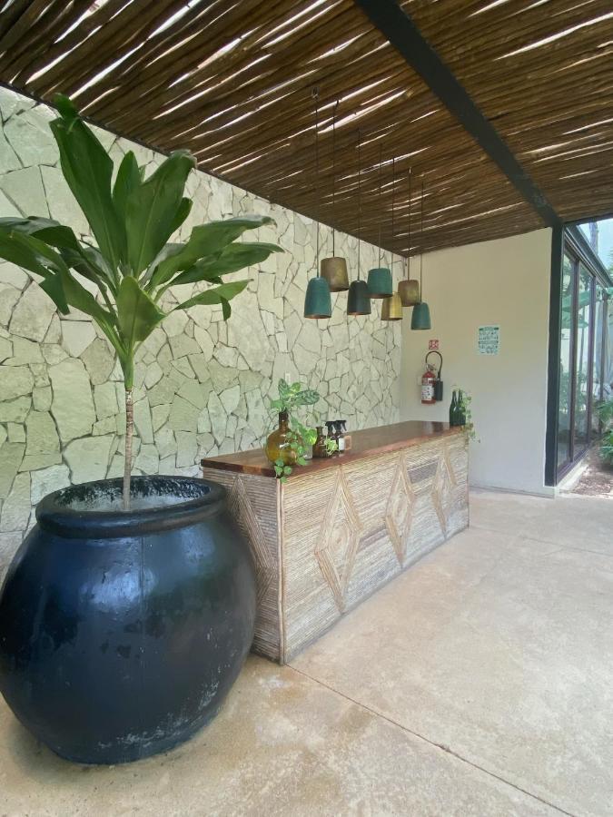 Apartment Jungle Bliss 2 Bedroon 2 Bathroom With Private Pool And Jungle Garden. *