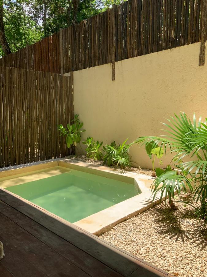 Apartment Jungle Bliss 2 Bedroon 2 Bathroom With Private Pool And Jungle Garden.