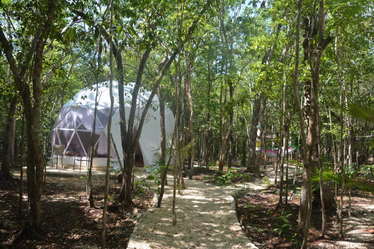 Glamping Mayan Glam Luxury tent *