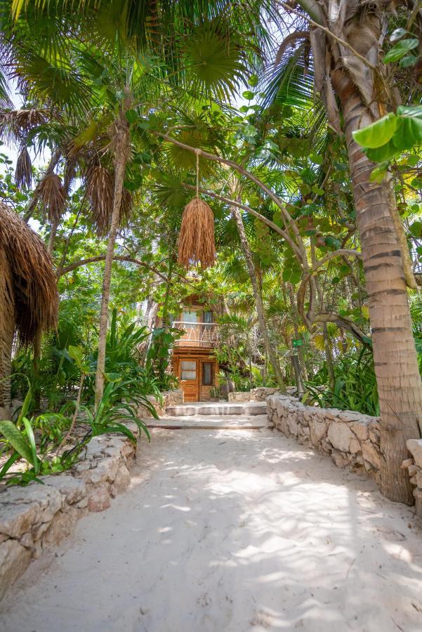 Ahau - Beachfront (adults Only) Tulum