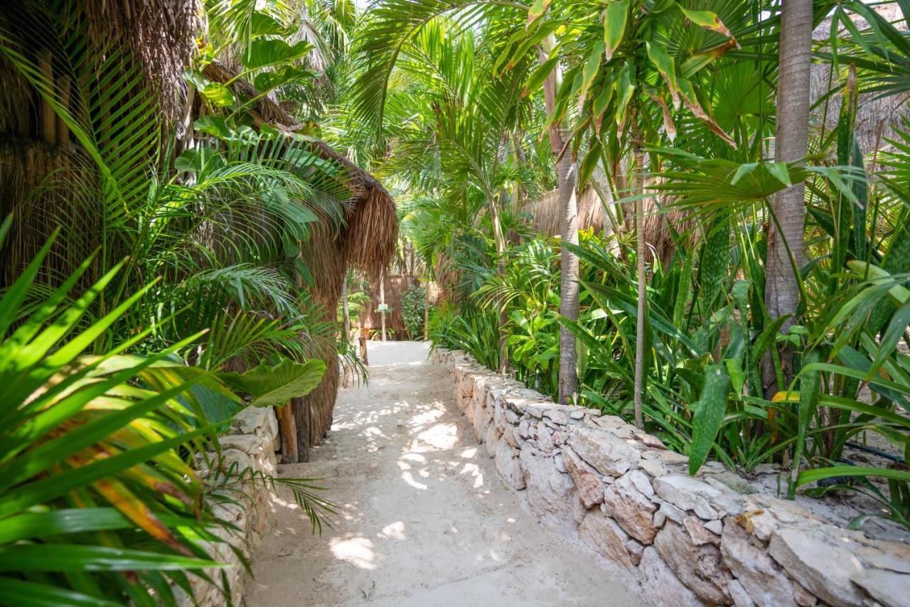 Hotel Ahau - Beachfront (adults Only) Tulum