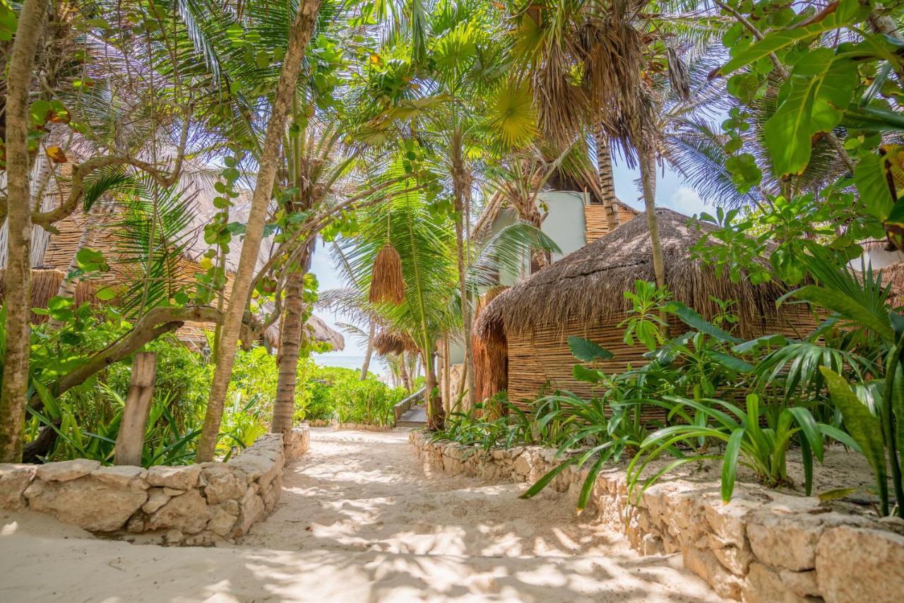 Hotel Ahau - Beachfront (adults Only) Tulum