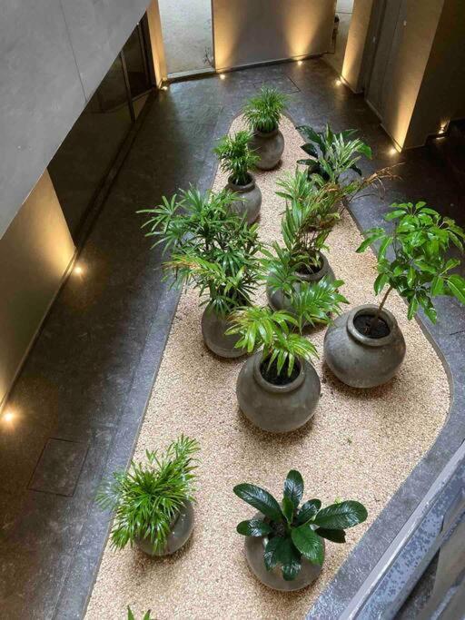 Apartment Find The Way, Find Yourself! Phimai 8 *