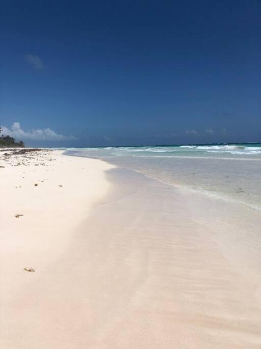 Apartment Luxury 2 Bdr 2 Bth 2 Bikes Jacuzzi Fiboptic Wifi. *