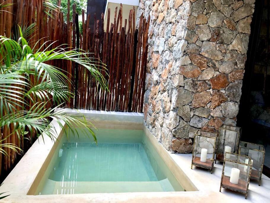 Luxury 2 Bdr 2 Bth 2 Bikes Jacuzzi Fiboptic Wifi. Tulum