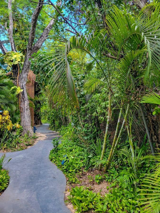 Hostel Maui