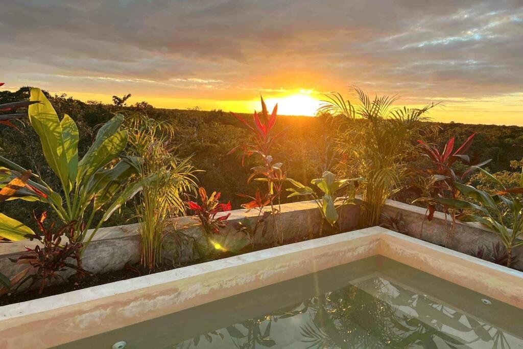 Lush Rooftop With Ensuite Pool & Wifi Tulum
