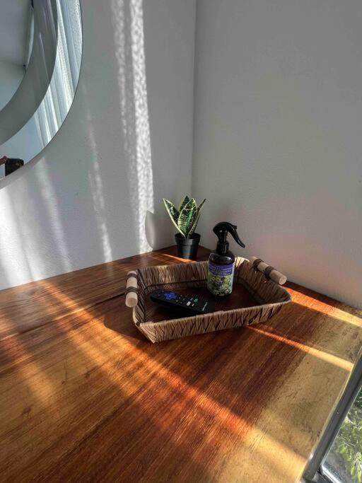 Lush Rooftop With Ensuite Pool & Wifi Apartment Tulum