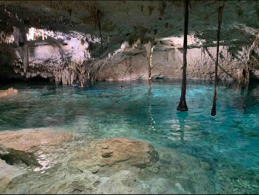 Lush Rooftop With Ensuite Pool & Wifi Apartment