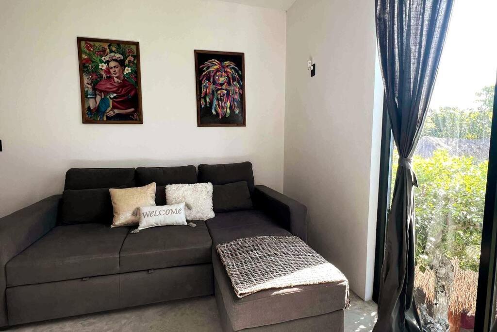 Lush Rooftop With Ensuite Pool & Wifi Apartment *