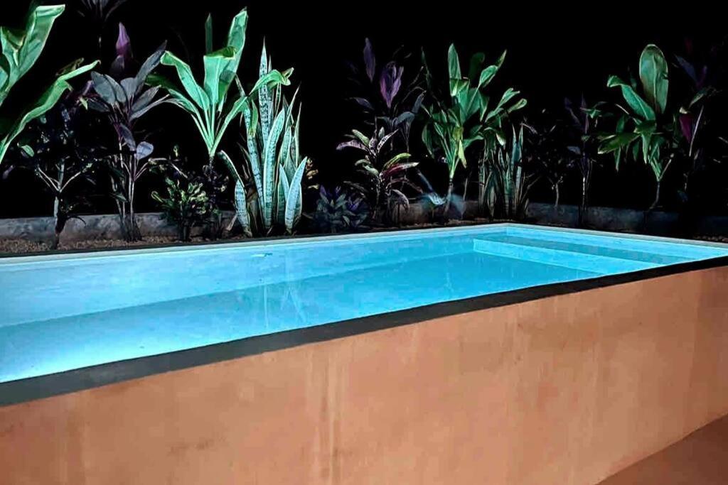 Lush Rooftop With Ensuite Pool & Wifi *