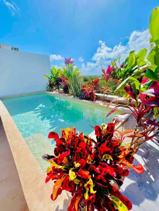 Lush Rooftop With Ensuite Pool & Wifi * Tulum