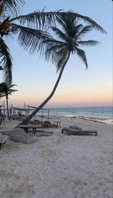 Lush Rooftop With Ensuite Pool & Wifi *