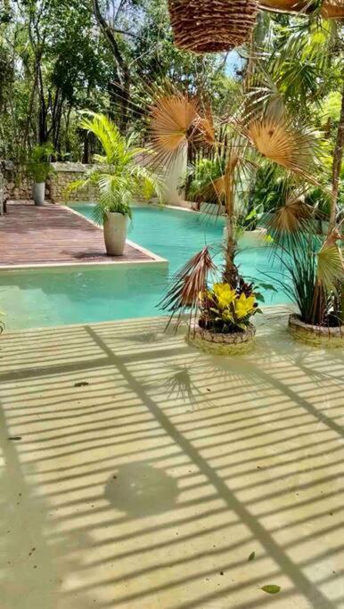 Lush Rooftop With Ensuite Pool & Wifi Tulum
