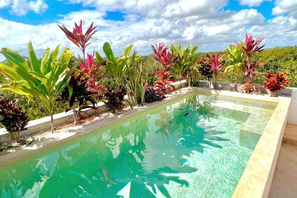 Apartment Lush Rooftop With Ensuite Pool & Wifi