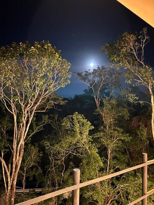 Apartment Lush Rooftop With Ensuite Pool & Wifi