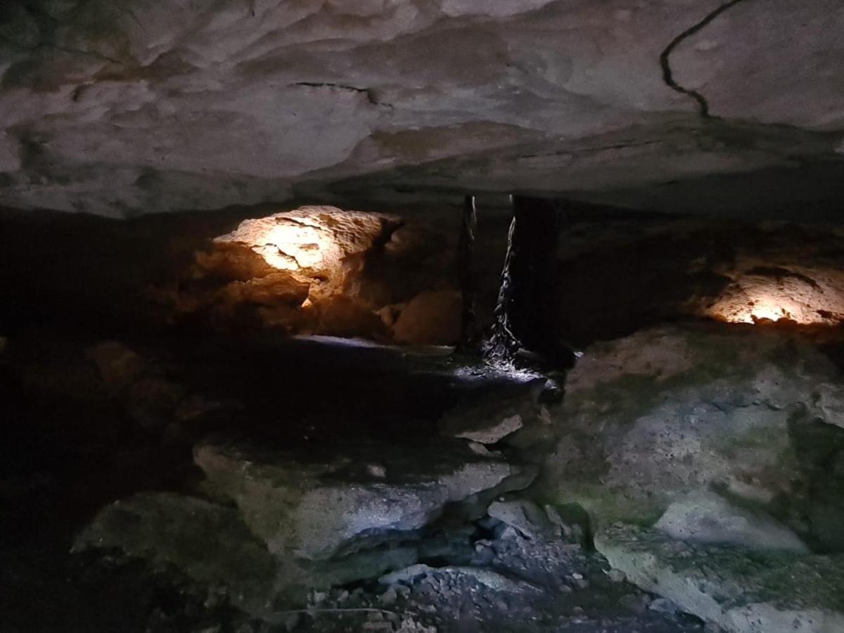 Zenote Sanctuary (Adults Only)