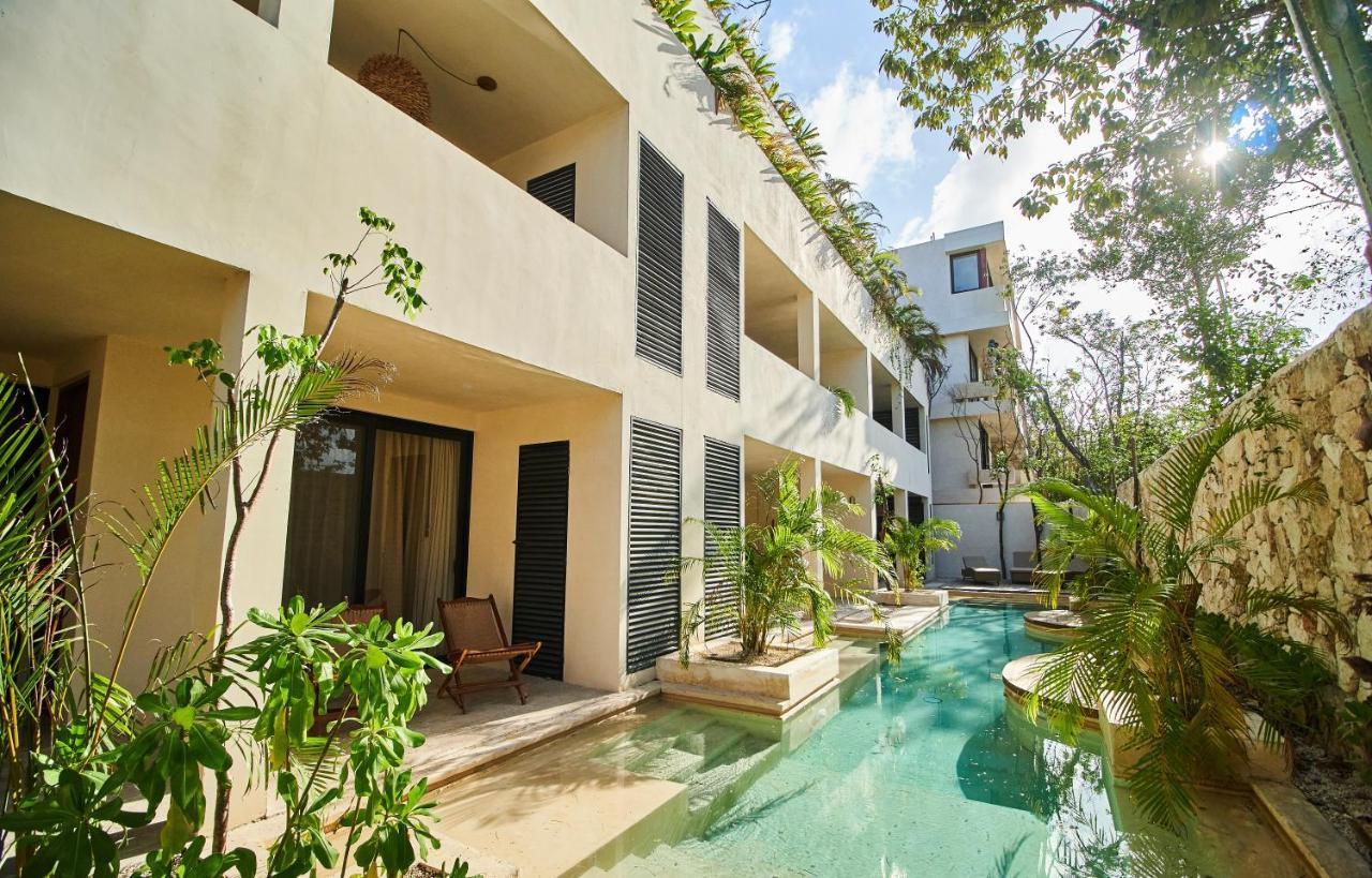 Apartment Spacious & Comfy Penthouse Oasis With Plunge Pool Tulum