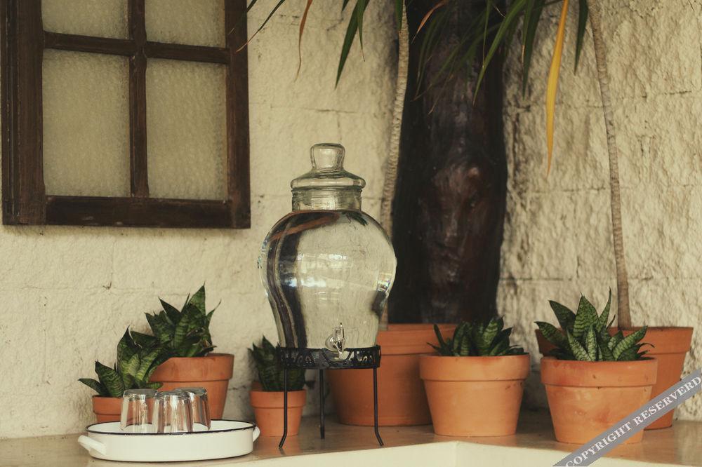 Howlita - Adult Only 3* Tulum