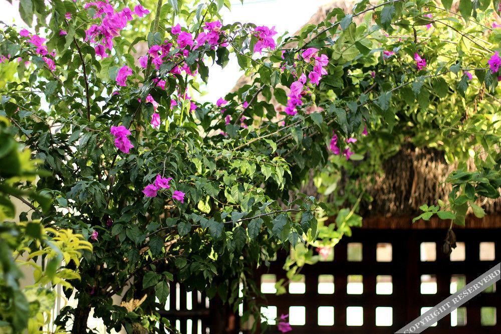 Hotel Howlita - Adult Only