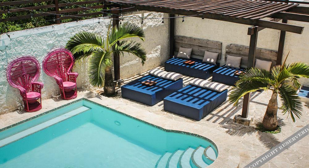 Howlita - Adult Only