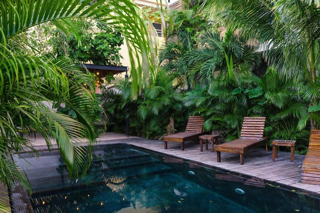 And Relax In The Jungle Of 3001 Apartment Tulum