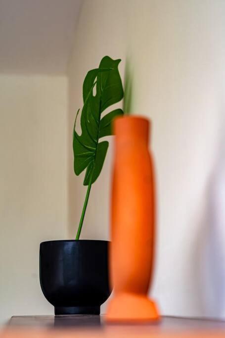 Apartment The Cozy Boho Nomad With Free Bikes *