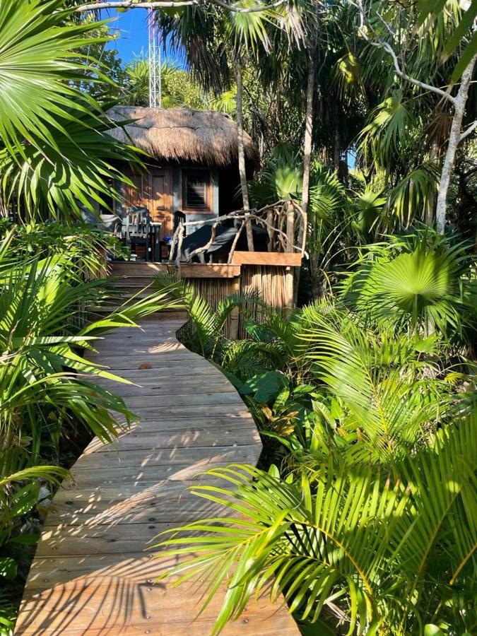 Casa Tolok In Beachfront Tulum