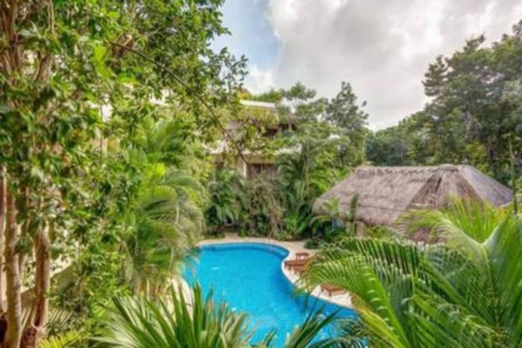 Complex With An Alluring Pool & Tropical Vibes By Stella Rentals! * Tulum