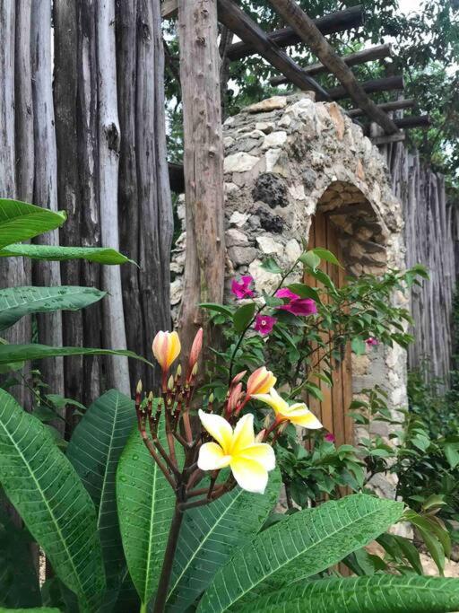 Villa Selvaluna Eco-chic *