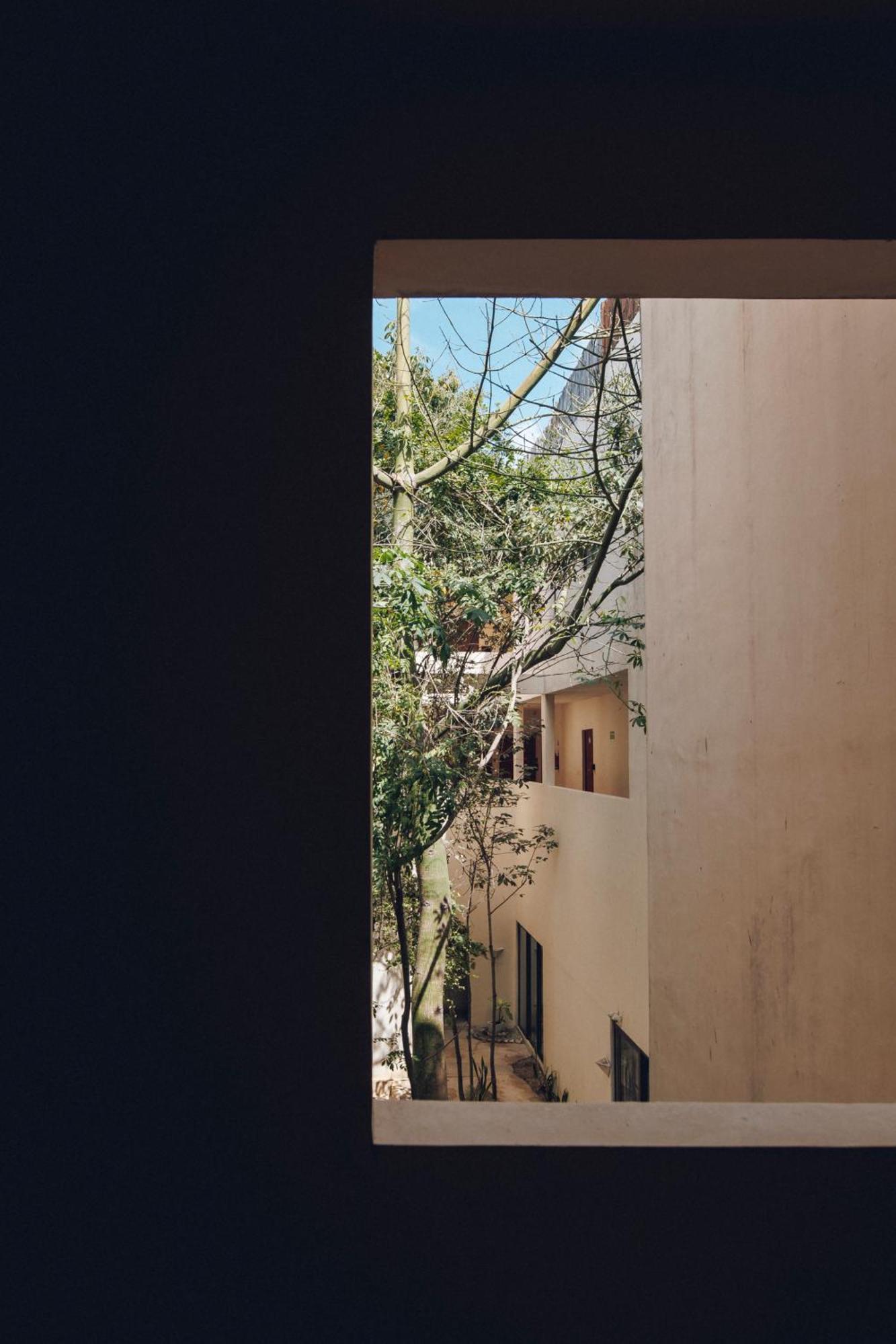 2 Free Bicycles Beautiful Near The Sea Beautiful Pool Holiday home