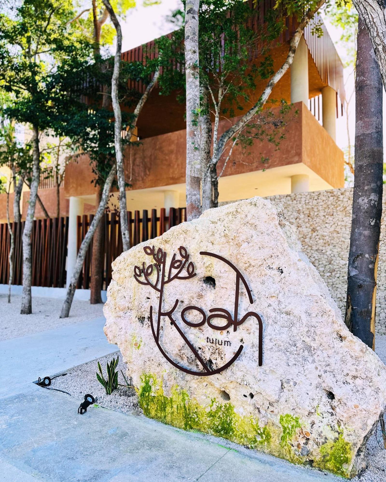 Apartment *jungle Ph W/pool, Close To Downtown & Tulum