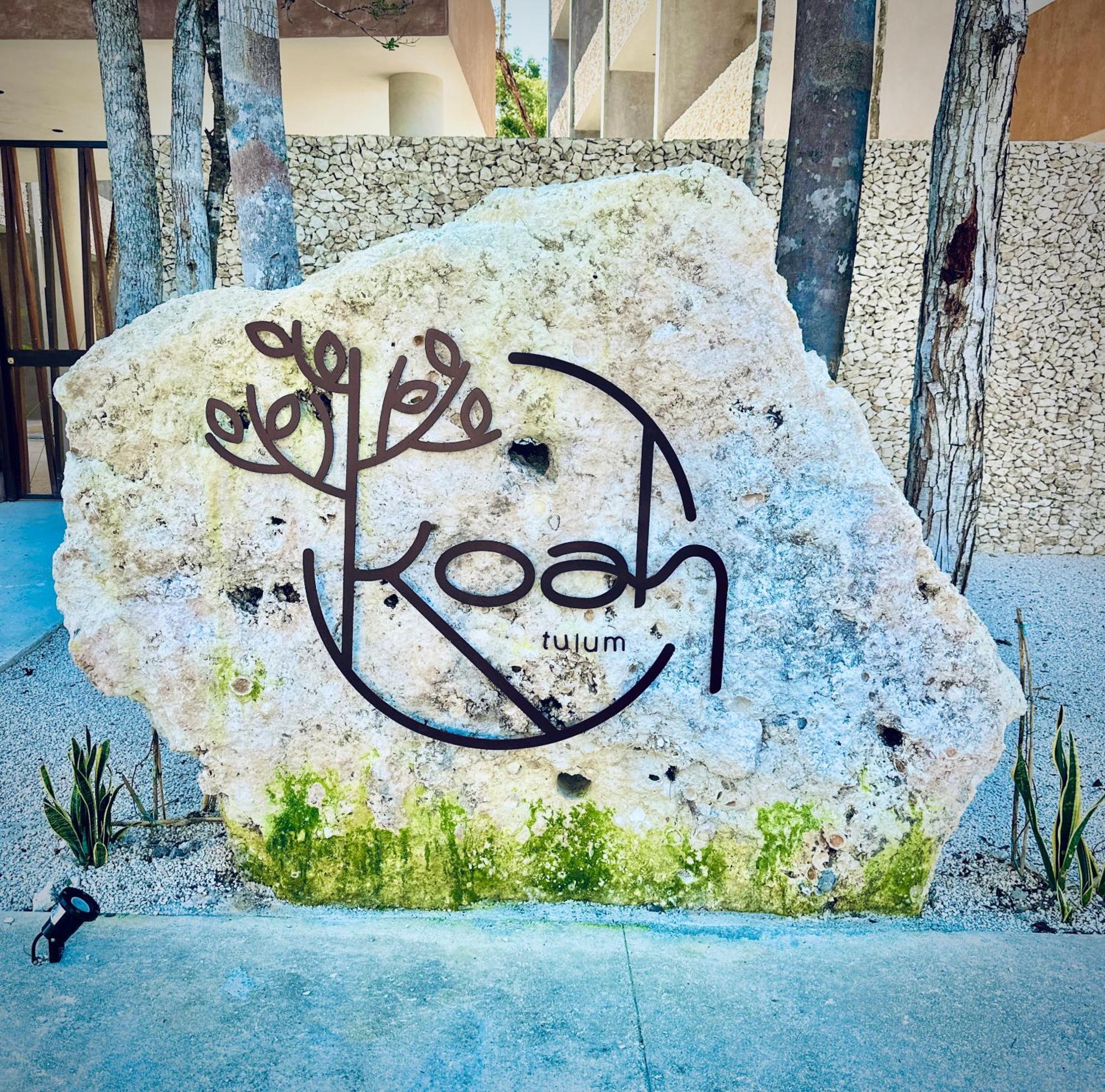 *jungle Ph W/pool, Close To Downtown & * Tulum