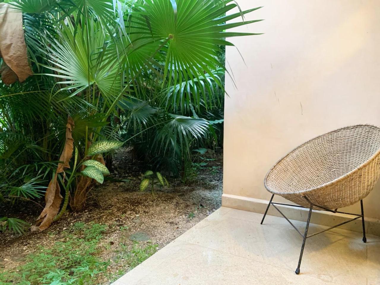 Cacao Estudio Con Alberca Privada Y Gym Apartment