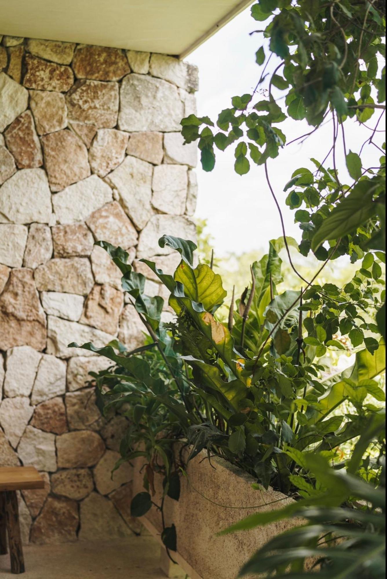 Teva Tulum, Aldea Zama Apartment Tulum