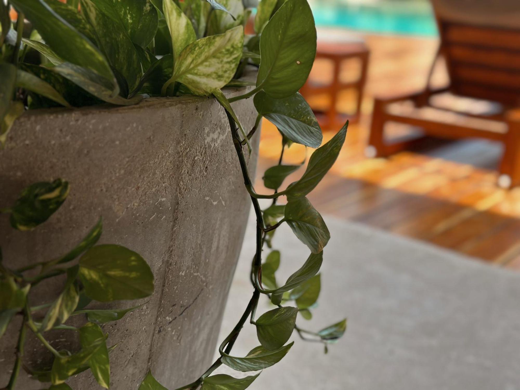 Ophelia Tulum Condo In Aldea Zama * Tulum