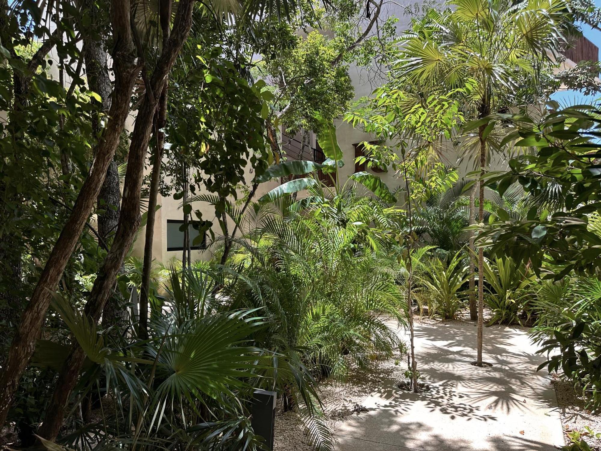Aparthotel Ophelia Tulum Condo In Aldea Zama *