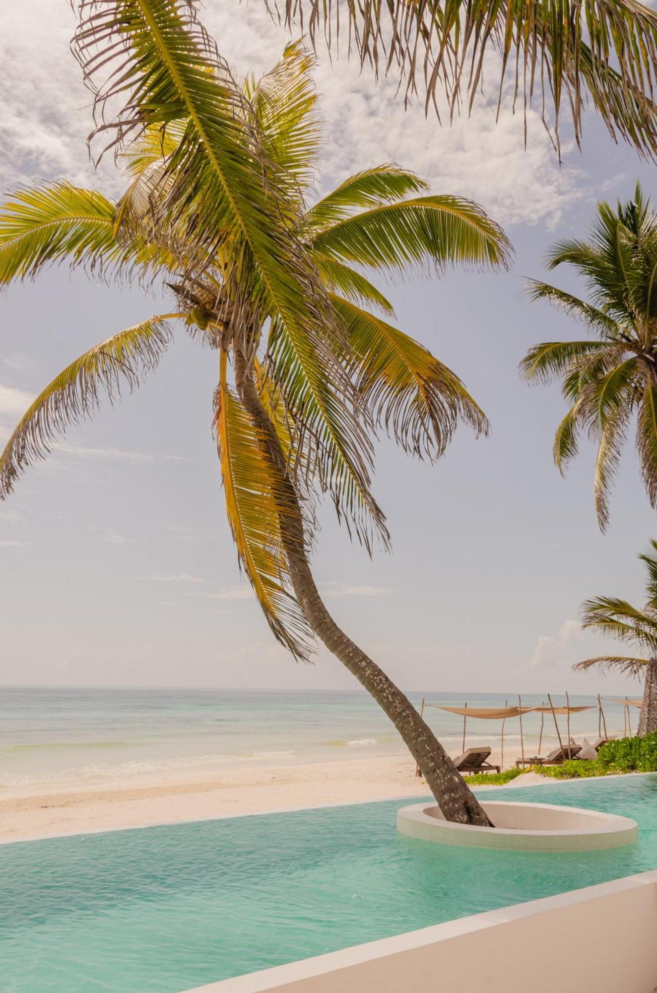Pousada 12br Beachfront Private With Infinity Pool By Solmar *