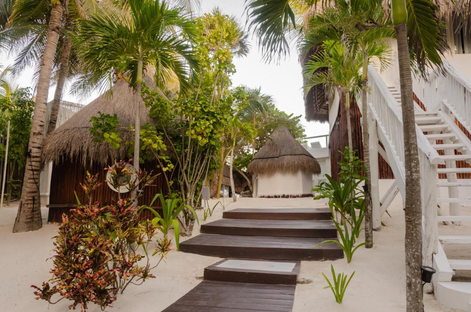 12br Beachfront Private With Infinity Pool By Solmar Pousada