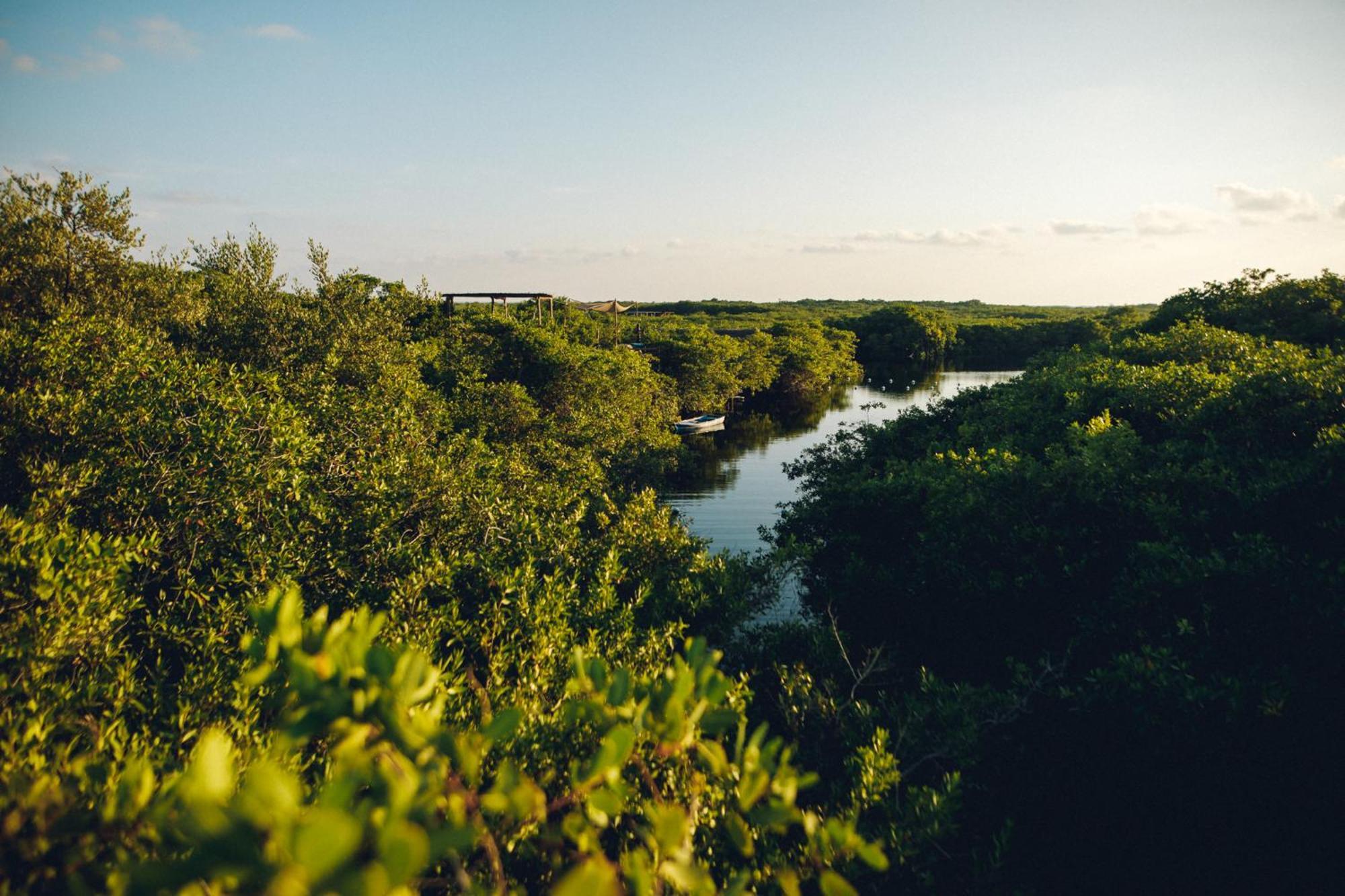 Uman Glamping & Cenote Luxury tent